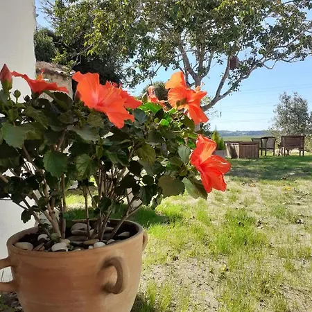 ***** Quinta Do Por Do Sol ***** Apartment Figueira da Foz Exterior photo