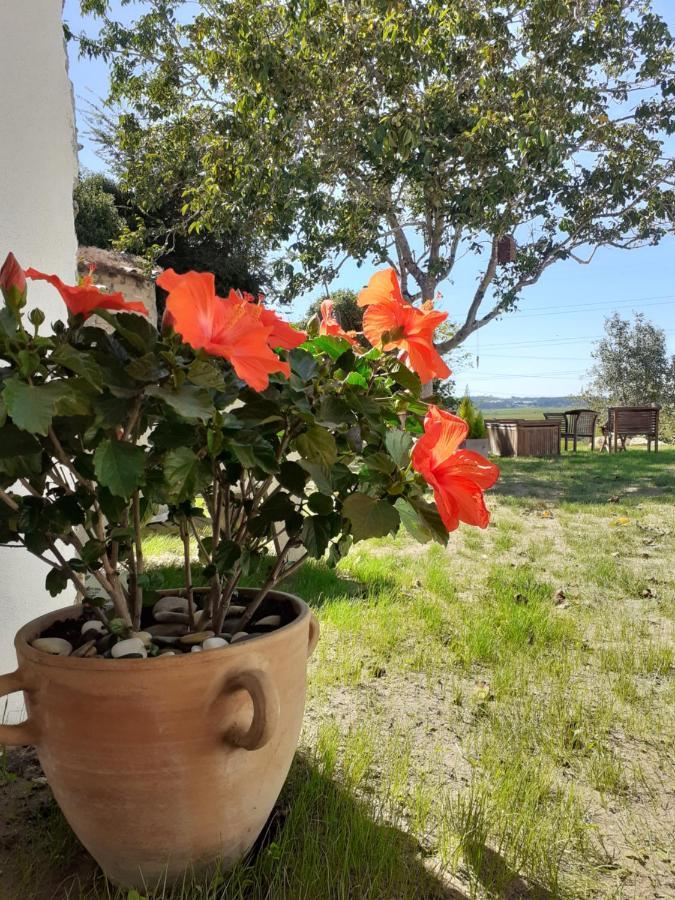 Apartamento ***** Quinta Do Pôr Do Sol ***** Figueira da Foz